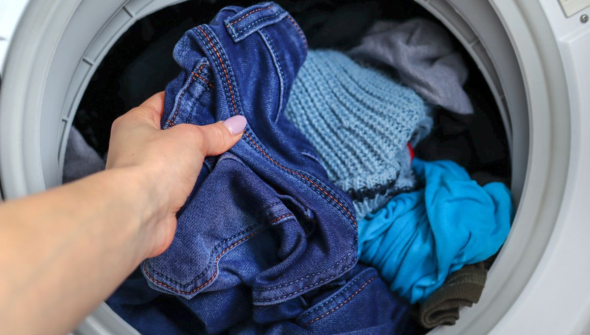 jeans in the dryer